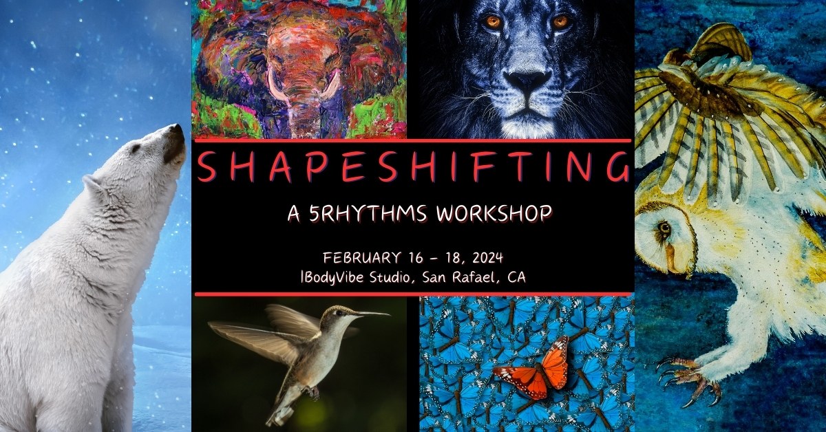 Shapeshifter shapeshifting workshop February 16-18, 2024