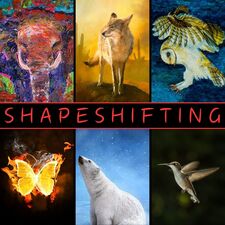 Shapeshifting Shapeshifters Workshop