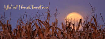 Dancing with the full harvest moon