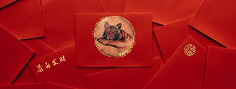 Chinese New Year Envelopes and Tiger