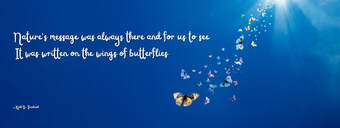 Butterfly image and Sandved quote