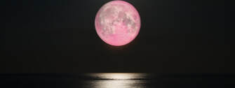 April Pink Full Moon