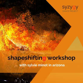 shapeshifting workshop